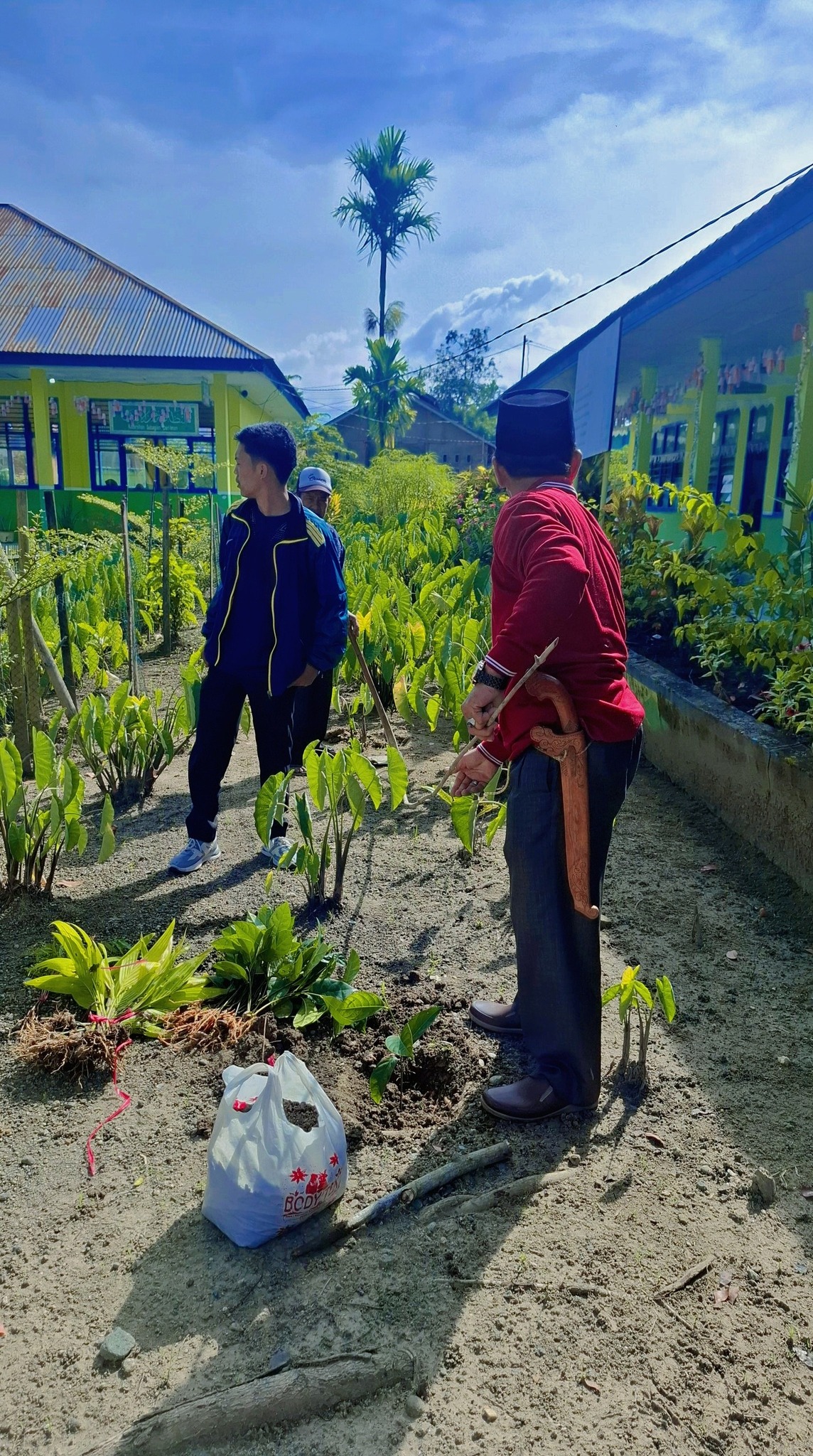 Penanaman bibit Nangka, pinang dan petai di MIN 2 KERINCI